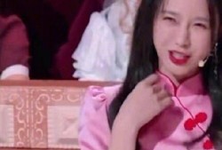 潭湘佳谈沈梦辰爆料视频,沈梦辰揭秘潭湘佳谈幕后故事