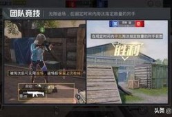 和平精英视频爆料大全,揭秘游戏幕后精彩瞬间